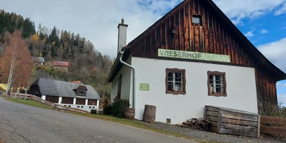 Trip with children - Witterung: Schnee - Oberzeiring - Alpakawanderung im Murtal am Wieserhof - Zeit für die Sinne