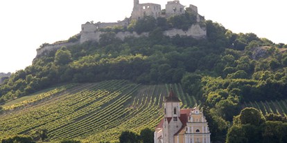 Ausflug mit Kindern - Ausflugsziel ist: ein Aussichtspunkt - Niederösterreich - Burgruine Falkenstein (Weinviertel)