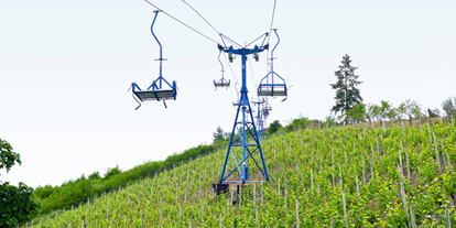 Ausflug mit Kindern - Ausflugsziel ist: ein Naturerlebnis - Heilberscheid - Sesselbahn Boppard