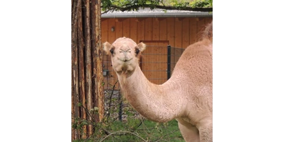 Ausflug mit Kindern - Ausflugsziel ist: ein Tierpark - Deutschland - Zoo Landau in der Pfalz