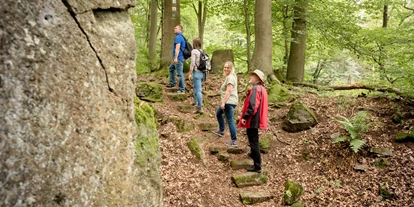 Ausflug mit Kindern - Ausflugsziel ist: ein Naturerlebnis - Niederdürenbach - Hohe Buche