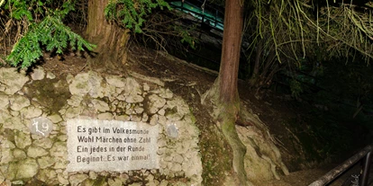 Ausflug mit Kindern - Ausflugsziel ist: ein Naturerlebnis - Niederdürenbach - Märchenwald Bad Breisig