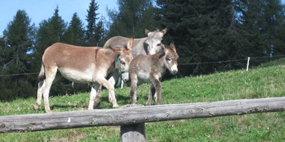 Ausflug mit Kindern - Ausflugsziel ist: eine Sportanlage - Mühlwald (Trentino-Südtirol) - Pertinger Alm