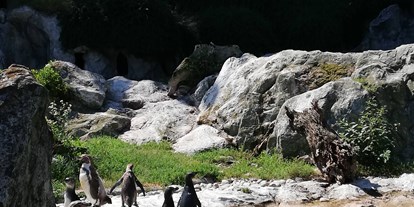 Ausflug mit Kindern - Ausflugsziel ist: ein Tierpark - Tiergarten Schönbrunn