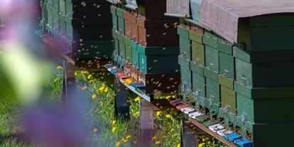 Ausflug mit Kindern - Parkmöglichkeiten - Gargazon - Bienenlehrpfad Steinegg - Bienenlehrpfad Karneid