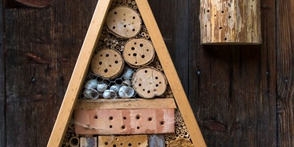 Ausflug mit Kindern - Kastelruth - Bienenlehrpfad Steinegg - Bienenlehrpfad Karneid