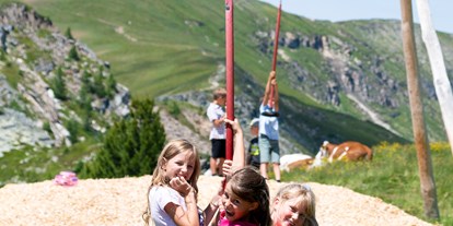 Ausflug mit Kindern - Umgebungsschwerpunkt: Land - Mariapfarr - Grosseck-Speiereck