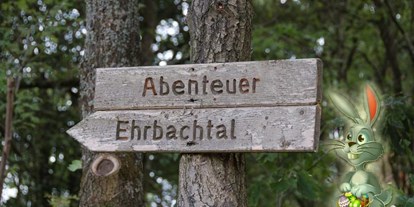 Ausflug mit Kindern - Bacharach - Abenteuer Ehrbachtal