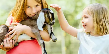 Ausflug mit Kindern - Ausflugsziel ist: ein Bauernhof - Seeham - Spiel und Spaß im Himmelreich