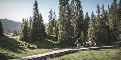 Ausflug mit Kindern - Preisniveau: günstig - Tirol - BergerlebnisWelt Ratschings
