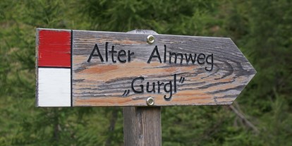 Ausflug mit Kindern - Witterung: Bewölkt - Dorf Tirol - Wasserfall Gurgl