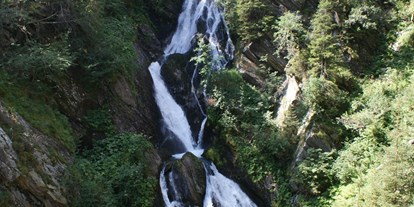 Ausflug mit Kindern - Umgebungsschwerpunkt: Wald - Töll - Partschins - Wasserfall Gurgl