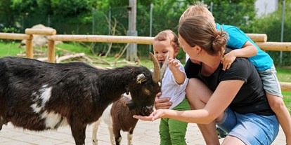 Ausflug mit Kindern - Ausflugsziel ist: ein Tierpark - Wildfreizeitpark Oberreith