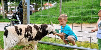 Ausflug mit Kindern - Themenschwerpunkt: Pferde - Deutschland - Wildfreizeitpark Oberreith