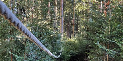 Ausflug mit Kindern - Schatten: überwiegend schattig - Waldseilgarten Oberreith