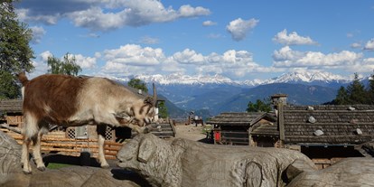 Ausflug mit Kindern - Steinegg (Trentino-Südtirol) - Tierwelt Rainguthof