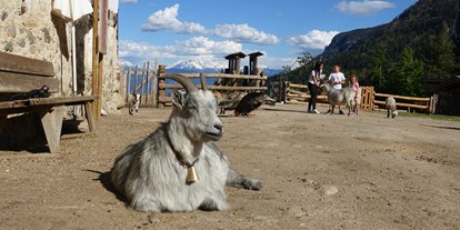 Ausflug mit Kindern - Trentino-Südtirol - Tierwelt Rainguthof