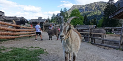 Ausflug mit Kindern - TOP Ausflugsziel 2024 - Trentino-Südtirol - Tierwelt Rainguthof