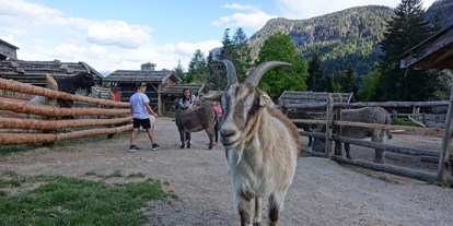 Ausflug mit Kindern - Parkmöglichkeiten - Trentino-Südtirol - Tierwelt Rainguthof