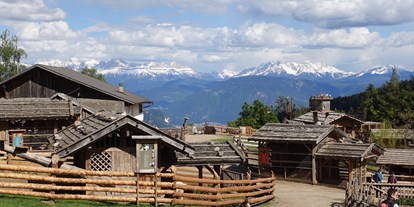 Ausflug mit Kindern - Witterung: Bewölkt - Dorf Tirol - Tierwelt Rainguthof