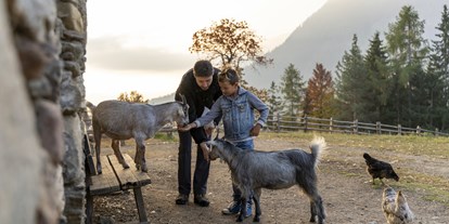 Ausflug mit Kindern - Dauer: ganztags - Dorf Tirol - Copyright: Tourismusverein Tisens-Prissian/René Gamper - Tierwelt Rainguthof