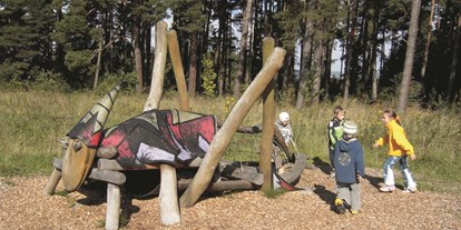 Ausflug mit Kindern - PLZ 99947 (Deutschland) - Kinder toben sich an urigen Spielgeräten im Wildkatzenkinderwald aus. - Wildkatzenkinderwald