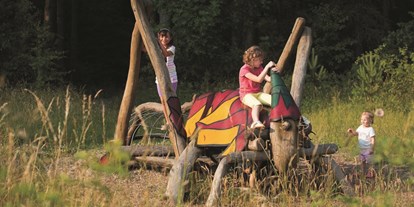 Ausflug mit Kindern - Themenschwerpunkt: Wandern - Deutschland - Außergewöhnliche Spielgeräte gilt es zu entdecken.
 - Wildkatzenkinderwald