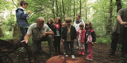Ausflug mit Kindern - PLZ 99817 (Deutschland) - Was raschelt da im Unterholz? Ein Ranger erzählt die Geschichte der Waldgeister. - Wildkatzenkinderwald