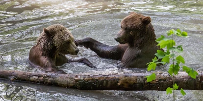 Ausflug mit Kindern - Ausflugsziel ist: ein Tierpark - Deutschland - Alternativer Bärenpark® Worbis