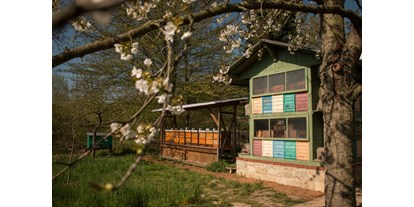 Ausflug mit Kindern - Ausflugsziel ist: ein Naturerlebnis - Erfurt - Bienenstöcke und Ferdinand Gerstungs Bienenhaus - Deutsches Bienenmuseum
