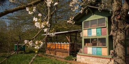 Ausflug mit Kindern - Ausflugsziel ist: ein Naturerlebnis - Apolda - Deutsches Bienenmuseum
