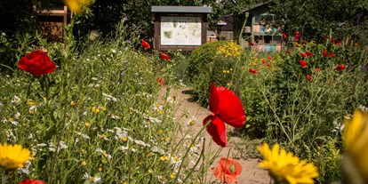 Ausflug mit Kindern - sehenswerter Ort: Garten - Thüringen - Deutsches Bienenmuseum