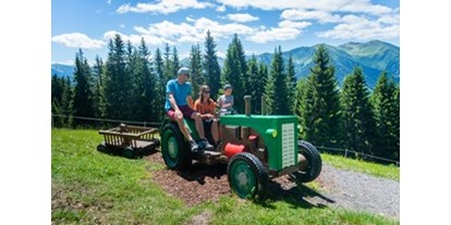 Ausflug mit Kindern - Ausflugsziel ist: ein Naturerlebnis - PLZ 6384 (Österreich) - Montelino's Erlebnisweg