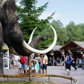 Destination - Trubel an allen Ecken - Der Dinosaurierpark - Ferienpark Germendorf