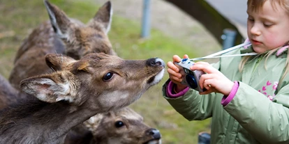 Ausflug mit Kindern - Ausflugsziel ist: ein Tierpark - Deutschland - Tiere füttern - Der Dinosaurierpark - Ferienpark Germendorf