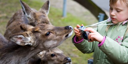 Ausflug mit Kindern - Ausflugsziel ist: ein Streichelzoo - Berlin-Umland - Tiere füttern - Der Dinosaurierpark - Ferienpark Germendorf