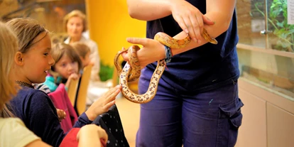 Ausflug mit Kindern - Ausflugsziel ist: ein Streichelzoo - Deutschland - Tierführung - Haus Natur und Umwelt