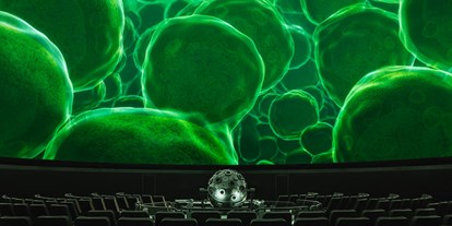 Ausflug mit Kindern - Witterung: Wechselhaft - Berlin-Umland - Zellen in einem Blatt im Planetariumssaal des Zeiss-Großplanetarium ©SPB-Natalie-Toczek - Zeiss-Großplanetarium Berlin