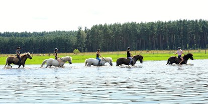 Ausflug mit Kindern - Themenschwerpunkt: Pferde - Reiter- und Erlebnisbauernhof Groß Briesen