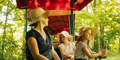 Trip with children - Alter der Kinder: Jugendliche - Germany - Mit der Ziegeleibahn durch den Park. Täglich und stündlich von 11 bis 17 Uhr - Ziegeleipark Mildenberg