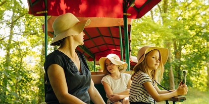 Ausflug mit Kindern - Groß Dölln - Mit der Ziegeleibahn durch den Park. Täglich und stündlich von 11 bis 17 Uhr - Ziegeleipark Mildenberg