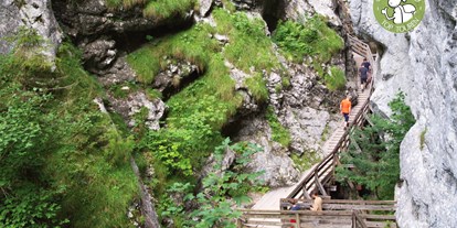 Ausflug mit Kindern - geprüfte Top Tour - Edlbach - Tour 60 aus unserem Wanderbuch Abenteuer Natur Salzkammergut: Woerschachklamm mit Burgruine Wolkenstein - Wörschachklamm und Ruine Wolkenstein