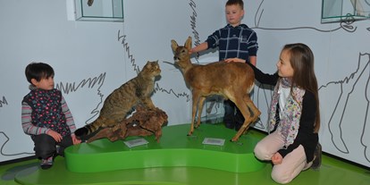 Ausflug mit Kindern - Umgebungsschwerpunkt: Stadt - Altenahr - Eifelmuseum - EifelTotal 