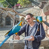 Destination - Besucher der Vogelburg können direkten Kontakt zu den Papageien in den großen Freiflugvolieren haben. - Vogelburg