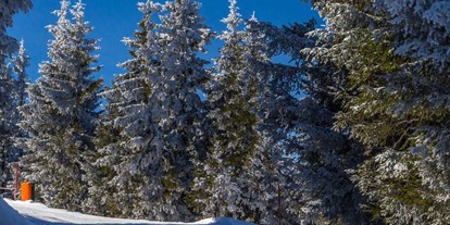 Ausflug mit Kindern - Winterausflugsziel - Region Lahntal - Skipiste Kleingladenbach