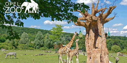 Trip with children - Themenschwerpunkt: Tiere - Germany - Opel-Zoo