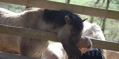 Ausflug mit Kindern - Themenschwerpunkt: Tiere - Deutschland - Wildpferd auf Kuschelkurs - Naturzentrum Wildpark Knüll