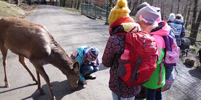 Ausflug mit Kindern - Ausflugsziel ist: ein Streichelzoo - Deutschland - Hirschkuh auf Tuchfühlung mit Besuchern - Naturzentrum Wildpark Knüll