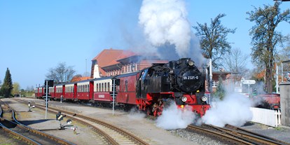 Ausflug mit Kindern - Umgebungsschwerpunkt: Stadt - Kühlungsborn - Mecklenburgische Bäderbahn Molli