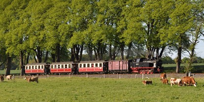 Ausflug mit Kindern - WC - Mecklenburgische Ostseeküste - Mecklenburgische Bäderbahn Molli